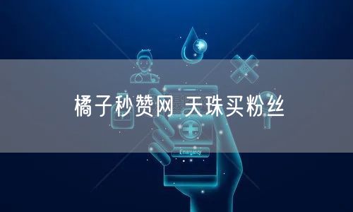 橘子秒赞网 天珠买粉丝
