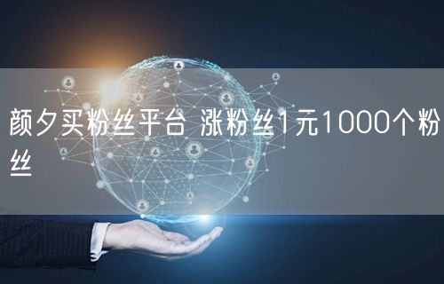 颜夕买粉丝平台 涨粉丝1元1000个粉丝