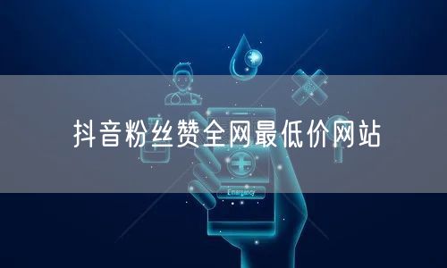 抖音粉丝赞全网最低价网站