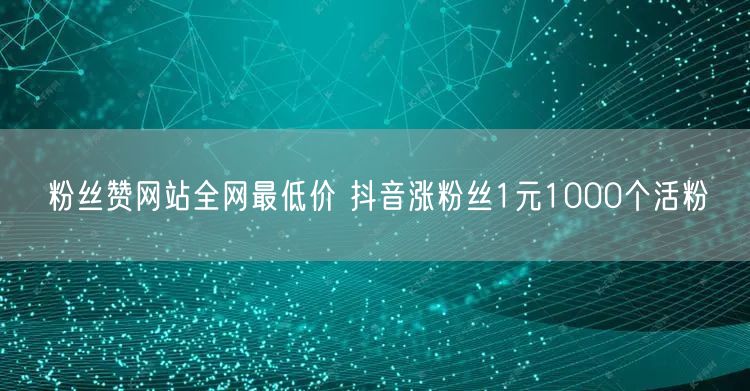 粉丝赞网站全网最低价 抖音涨粉丝1元1000个活粉