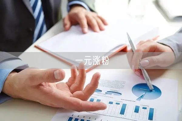 一元涨粉