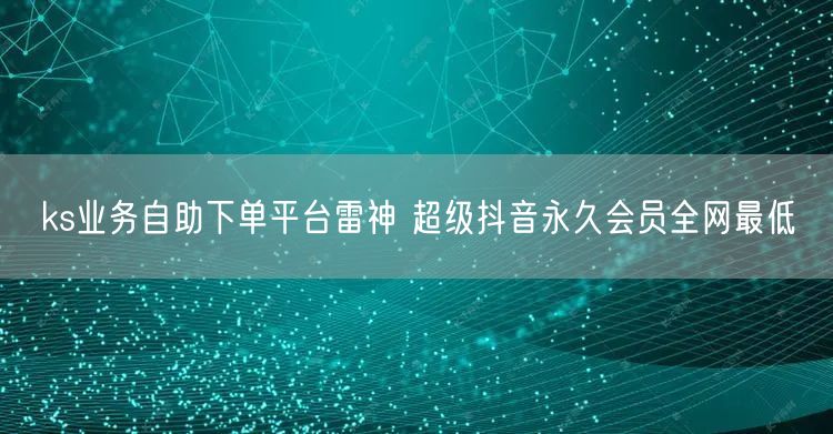 ks业务自助下单平台雷神 超级抖音永久会员全网最低