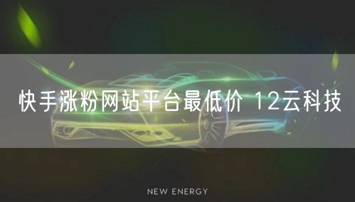 快手涨粉网站平台最低价 12云科技