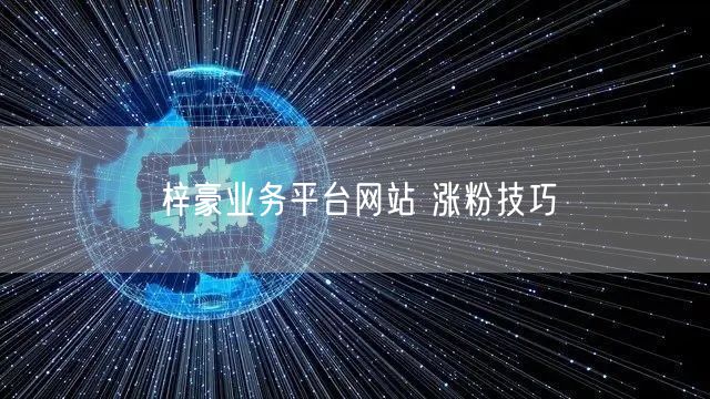 梓豪业务平台网站 涨粉技巧