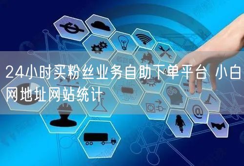 24小时买粉丝业务自助下单平台 小白网地址网站统计