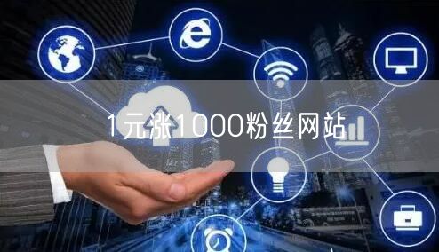 1元涨1000粉丝网站