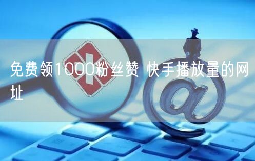 免费领1000粉丝赞 快手播放量的网址