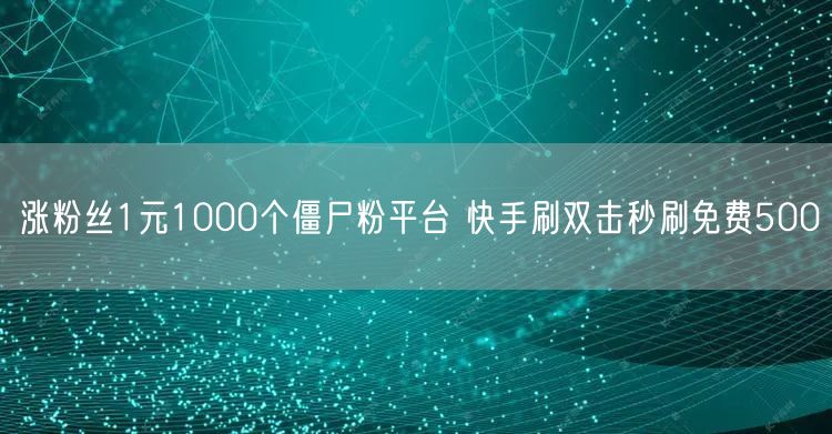 涨粉丝1元1000个僵尸粉平台 快手刷双击秒刷免费500