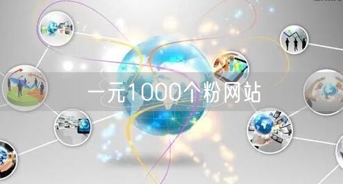 一元1000个粉网站
