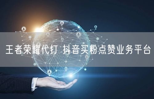 王者荣耀代打 抖音买粉点赞业务平台