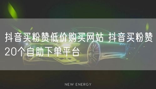 抖音买粉赞低价购买网站 抖音买粉赞20个自助下单平台