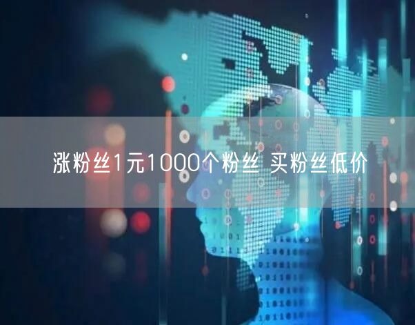 涨粉丝1元1000个粉丝 买粉丝低价