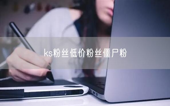 ks粉丝低价粉丝僵尸粉
