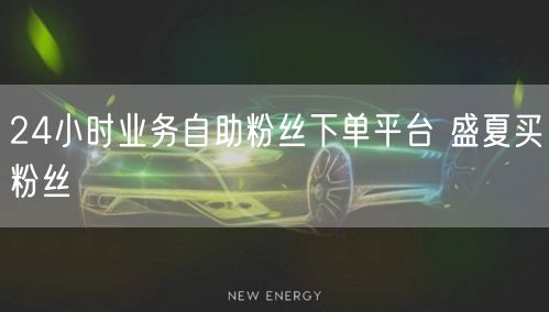 24小时业务自助粉丝下单平台 盛夏买粉丝