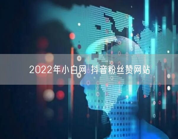 2022年小白网 抖音粉丝赞网站