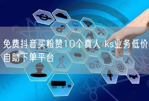 免费抖音买粉赞10个真人 ks业务低价自助下单平台