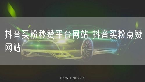 抖音买粉秒赞平台网站 抖音买粉点赞网站