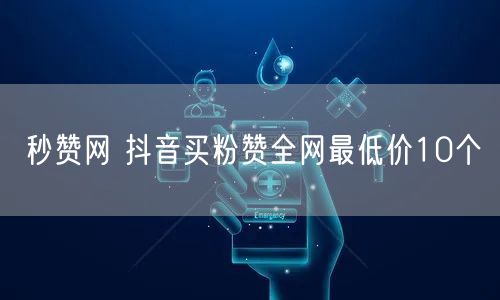 秒赞网 抖音买粉赞全网最低价10个