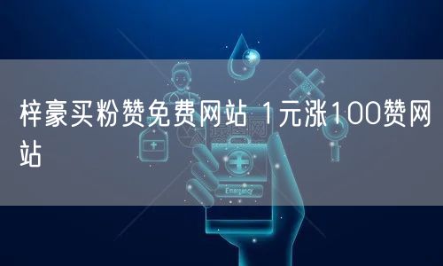 梓豪买粉赞免费网站 1元涨100赞网站