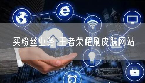 买粉丝业务 王者荣耀刷皮肤网站