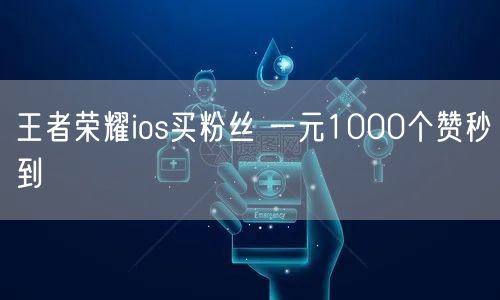 王者荣耀ios买粉丝 一元1000个赞秒到