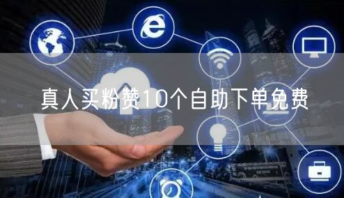 真人买粉赞10个自助下单免费