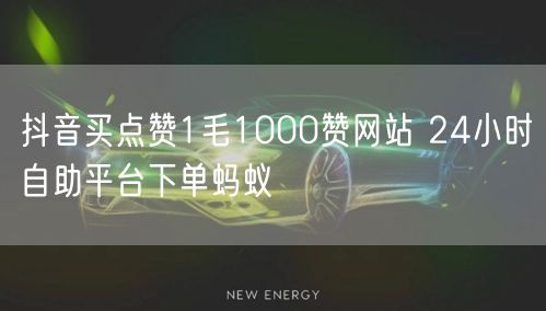 抖音买点赞1毛1000赞网站 24小时自助平台下单蚂蚁