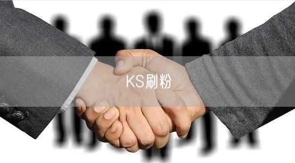 KS刷粉