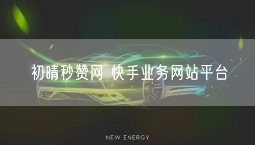初晴秒赞网 快手业务网站平台