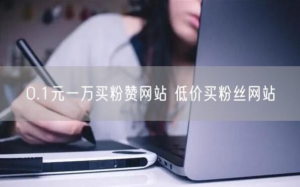 0.1元一万买粉赞网站 低价买粉丝网站