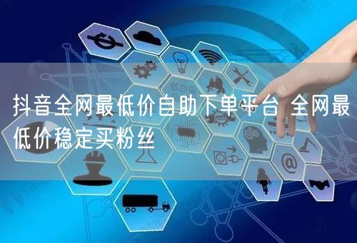 抖音全网最低价自助下单平台 全网最低价稳定买粉丝