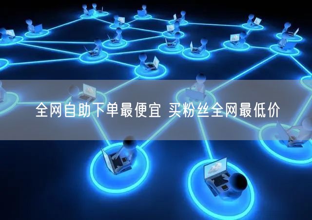全网自助下单最便宜 买粉丝全网最低价