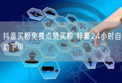 抖音买粉免费点赞买粉 梓豪24小时自助下单