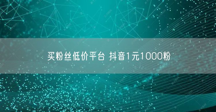 买粉丝低价平台 抖音1元1000粉