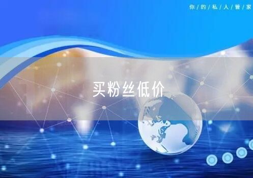买粉丝低价