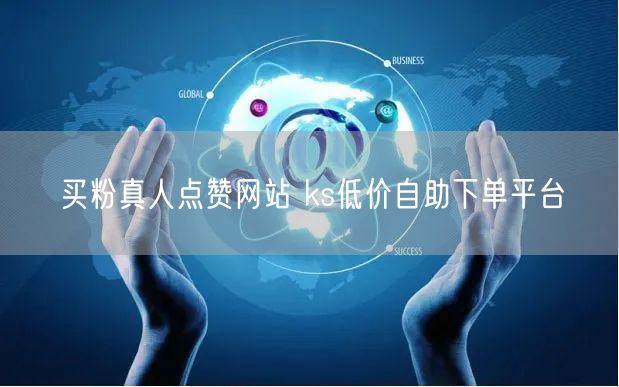 买粉真人点赞网站 ks低价自助下单平台