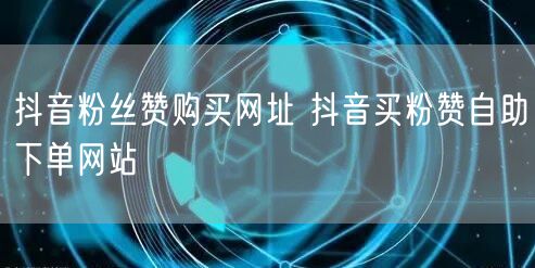 抖音粉丝赞购买网址 抖音买粉赞自助下单网站
