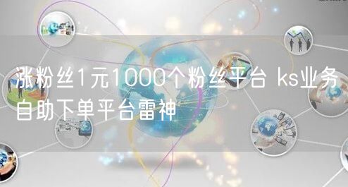涨粉丝1元1000个粉丝平台 ks业务自助下单平台雷神
