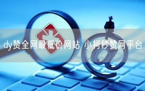 dy赞全网最低价网站 小柯秒赞网平台