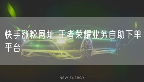 快手涨粉网址 王者荣耀业务自助下单平台
