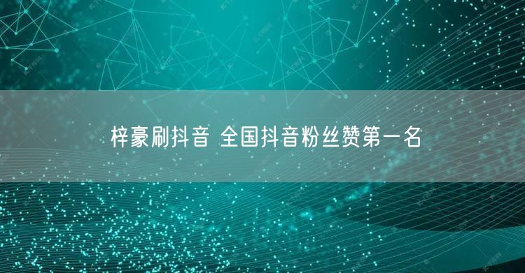 梓豪刷抖音 全国抖音粉丝赞第一名