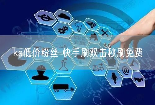 ks低价粉丝 快手刷双击秒刷免费
