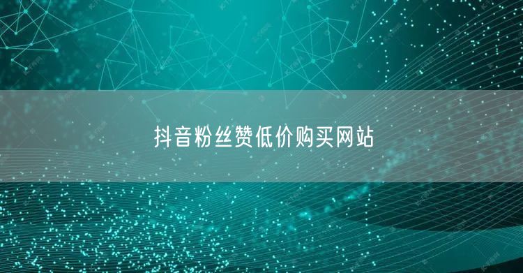 抖音粉丝赞低价购买网站