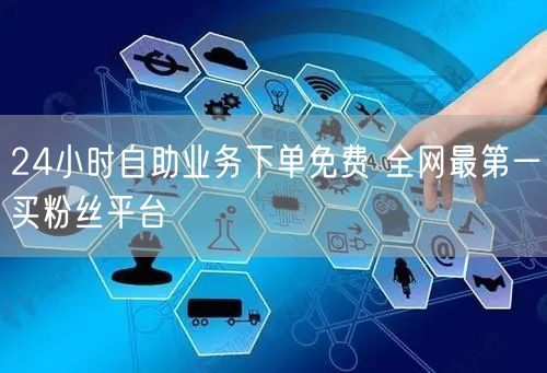 24小时自助业务下单免费 全网最第一买粉丝平台