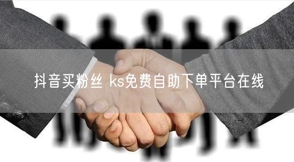 抖音买粉丝 ks免费自助下单平台在线