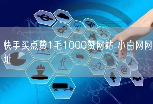 快手买点赞1毛1000赞网站 小白网网址