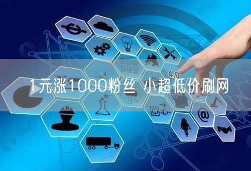 1元涨1000粉丝 小超低价刷网