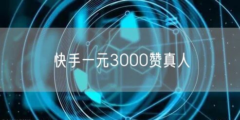 快手一元3000赞真人