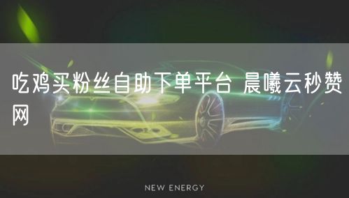 吃鸡买粉丝自助下单平台 晨曦云秒赞网