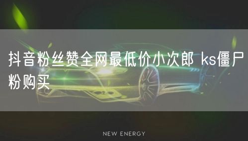 抖音粉丝赞全网最低价小次郎 ks僵尸粉购买